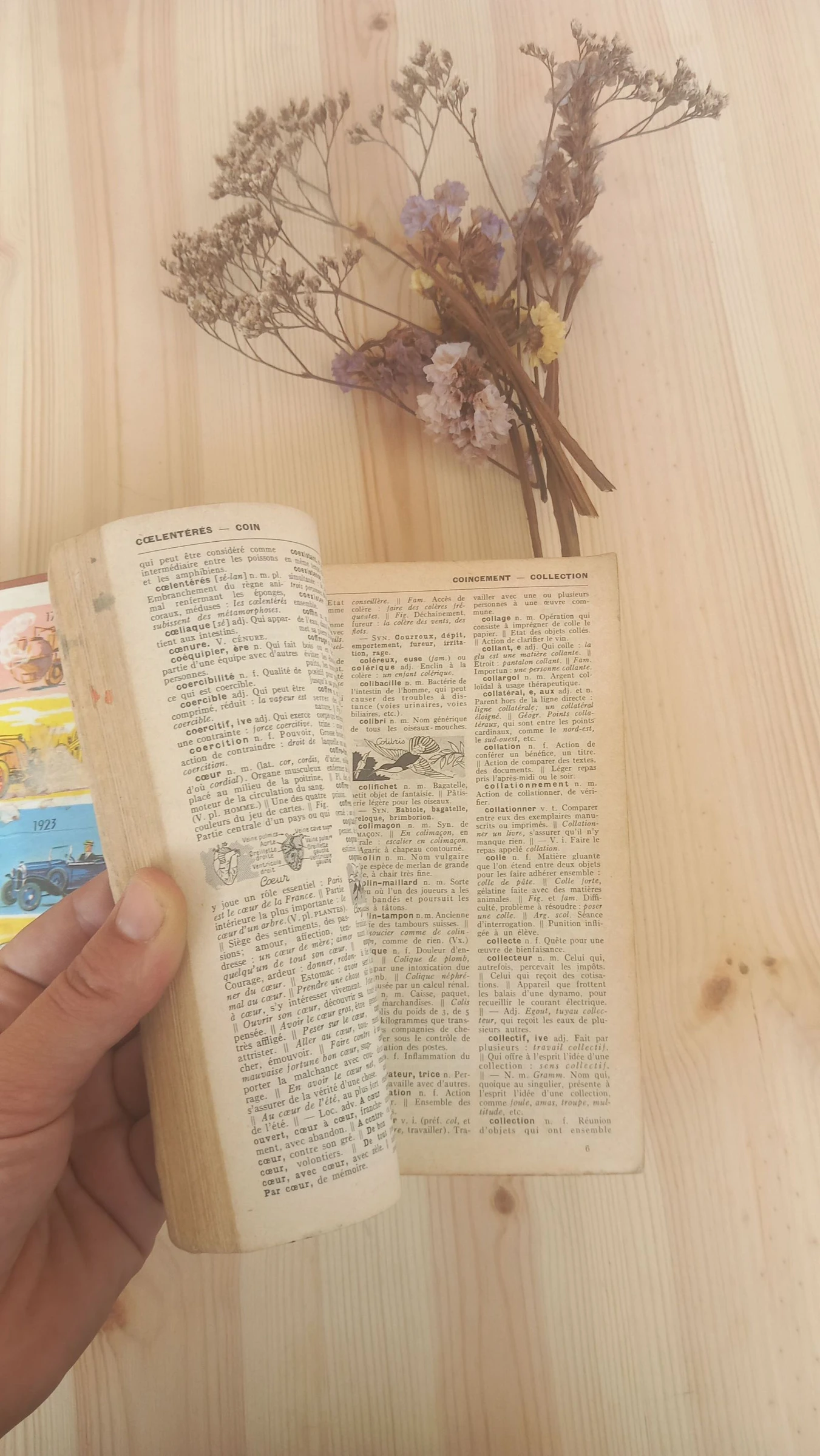Larousse Élémentaire | Éditions Larousse – photo 4